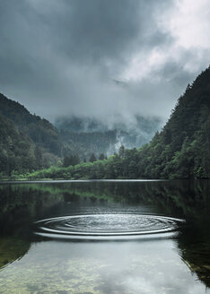 Austria, Salzburg State, Salzkammergut, St. Gilgen, Krotensee Lake, fog - WVF00903