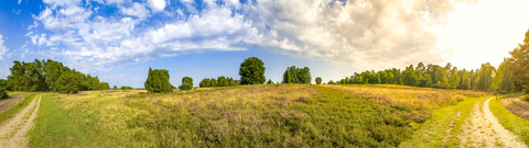 Deutschland, Niedersachsen, Lüneburger Heide, lizenzfreies Stockfoto