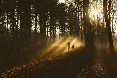 Vater und Sohn gehen im Wald im Gegenlicht spazieren - NMS00190