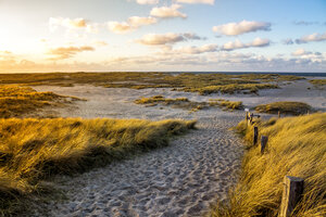 Deutschland, Schleswig-Holstein, Sylt, Wenningstedt - PUF01147