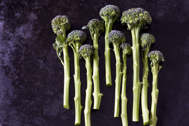 Sprouting broccoli - CSF28811