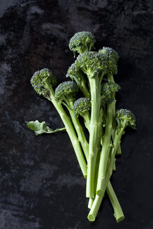 Sprouting broccoli - CSF28812