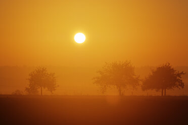 Deutschland, Bayern, Niederbayern, Altmühltal, Sonnenaufgang in Jachenhausen - SIEF07683