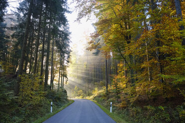 Deutschland, Bayern, Niederbayern, Altmühltal, leere Straße bei Riedenburg im Herbst, Morgennebel - SIEF07687