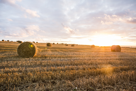 Frankreich, Normandie, Yport, Strohballen auf einem Feld bei Sonnenuntergang, lizenzfreies Stockfoto