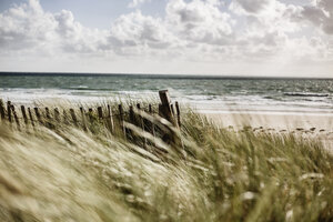 France, Normandy, Portbail, Contentin, wooden fence at beach dune - JATF01018