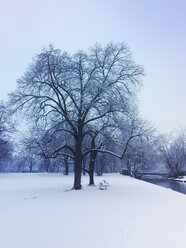 Deutschland, Köln, Schnee im Stadtpark, Grüngürtel, Stadtbezirk Lindenthal - GWF05393