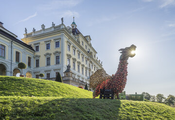 Deutschland, Baden-Württemberg, Ludwigsburg, Schloss Ludwigsburg, Drache der Kürbisse - PVCF01266