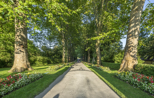 Deutschland, Baden-Württemberg, Ludwigsburg, Schloss Ludwigsburg, Allee - PVCF01267