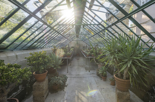 Germany, Baden-Wuerttemberg, Ludwigsburg, Ludwigsburg Palace, herb and medicinal plants garden, greenhouse - PVCF01274