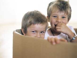 Zwei glückliche kleine Kinder zusammen in einer Pappschachtel - FSF00984