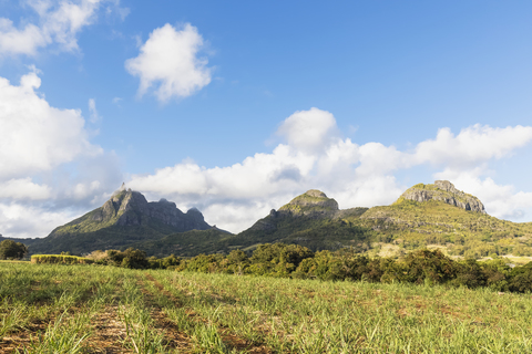 Mauritius, Highlands, sugarcane fields, Mountain Pieter Both left stock photo