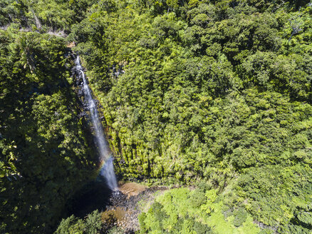 Mauritius, Black River Gorges National Park, Luftaufnahme des Mare Aux Joncs Wasserfalls - FOF09815