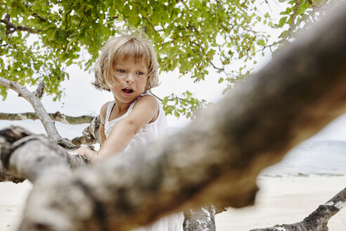 Thailand, Phi Phi Inseln, Ko Phi Phi, kleines Mädchen klettert auf einen Baum am Strand - RORF01098