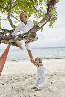 Thailand, Phi Phi Islands, Ko Phi Phi, playful boy and little girl climbing on a tree on the beach - RORF01099