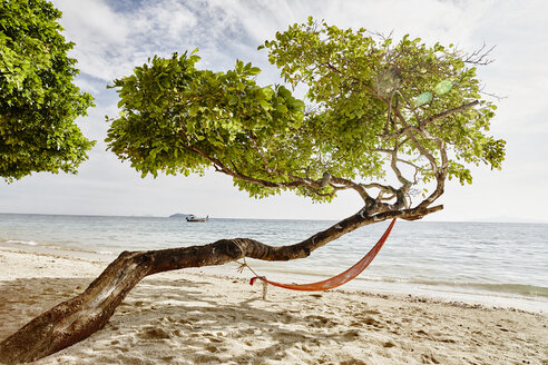 Thailand, Phi Phi Inseln, Ko Phi Phi, Hängematte in einem Baum am Strand - RORF01113