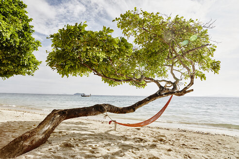 Thailand, Phi Phi Islands, Ko Phi Phi, hammock in a tree on the beach - RORF01113