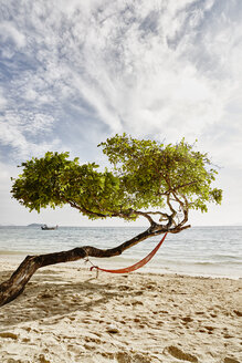 Thailand, Phi Phi Islands, Ko Phi Phi, hammock in a tree on the beach - RORF01114