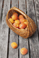 Wickerbasket of apricots - GWF05400