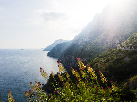 Italy, Campania, Gulf of Salerno, Sorrent, Amalfi Coast, Positano, cliff coast, Tordigliano Belvedere - AMF05612
