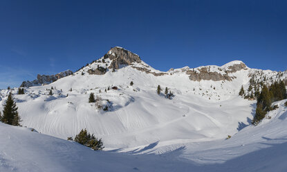 Österreich, Tirol ,Maurach am Achensee, Rofangebirge, Gschoellkopf - WWF04142