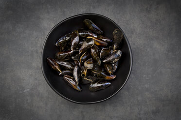 Organic raw blue mussels - LVF06615