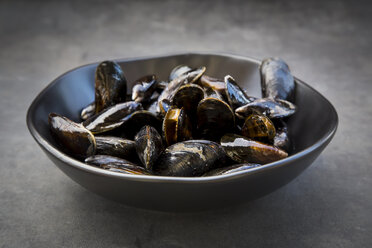 Organic blue mussels - LVF06616