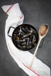 Organic blue mussels in pot, cooking spoon - LVF06617