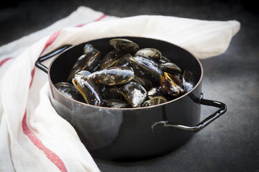 Organic blue mussels in cooking pot - LVF06618