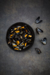 Organic blue mussels in bowl - LVF06620