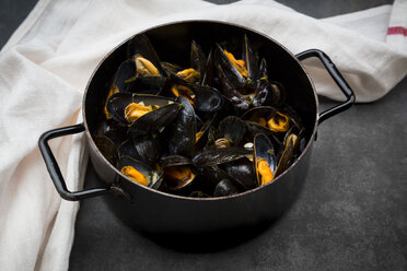 Organic blue mussels in cooking pot - LVF06621