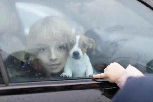 Porträt eines Jungen und eines Jack Russel Terrier-Welpen, die aus dem Autofenster schauen - KMKF00141