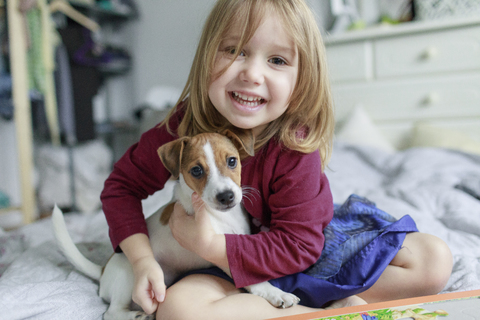 Porträt eines glücklichen kleinen Mädchens, das mit einem Jack Russel Terrier-Welpen auf dem Bett hockt, lizenzfreies Stockfoto