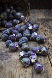 Purple brussels sprouts - LVF06635