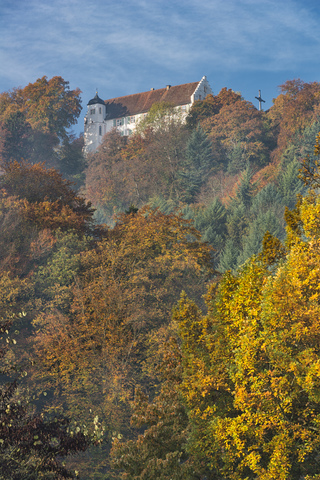 Deutschland, Baden-Württemberg, Bodman, Herbstwald am Schloss Frauenberg, lizenzfreies Stockfoto