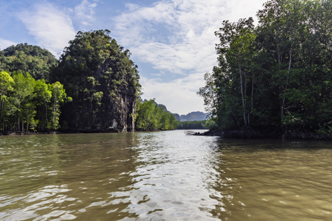 Malaysia, Pulau Langkawi, Mangoves, lizenzfreies Stockfoto