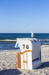 Deutschland, Mecklenburg-Vorpommern, Ostseebad Kühlungsborn, Strandkorb mit Kapuze und Möwe - PUF01217