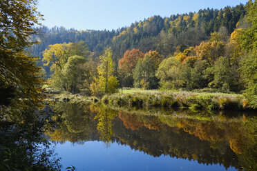 Deutschland, Bayern, Niederbayern, Bayerischer Wald, Naturschutzgebiet Obere Ilz, Fluss Ilz im Herbst - SIEF07691