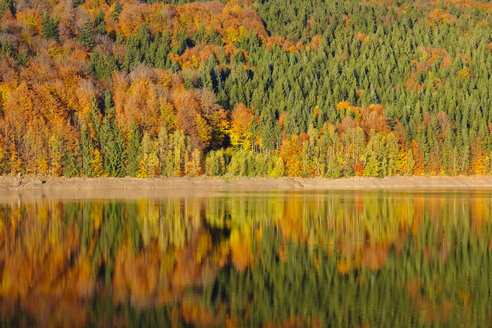 Deutschland, Bayern, Niederbayern, Bayerischer Wald, Naturschutzgebiet Obere Ilz, Fluss Ilz im Herbst - SIEF07696
