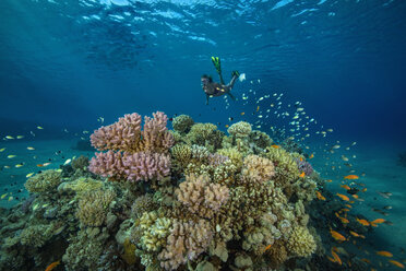 Ägypten, Rotes Meer, Hurghada, junges Mädchen beim Schnorcheln am Korallenriff - YRF00189