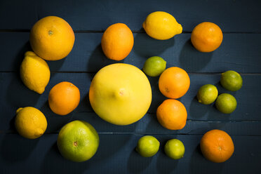 Citrus fruits on dark background - MAEF12512