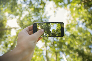 Man taking photos will cell phone in forest, close-up - ZEF14936