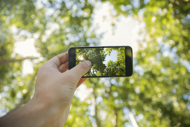 Mann fotografiert mit seinem Handy im Wald, Nahaufnahme - ZEF14936