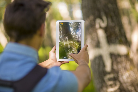 Rückansicht eines Mannes, der mit einem Tablet im Wald fotografiert, lizenzfreies Stockfoto