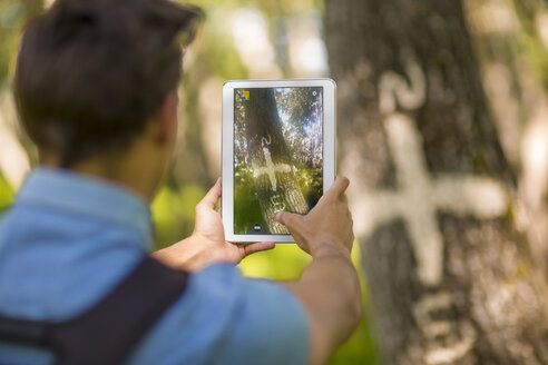 Rückansicht eines Mannes, der mit einem Tablet im Wald fotografiert - ZEF14946