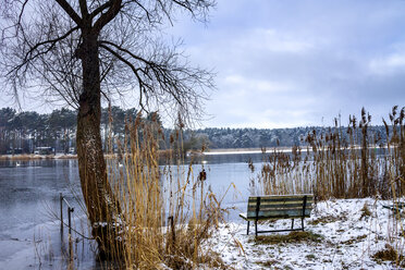 Germany, Brandenburg, Havelland, bench in winter - PUF01257