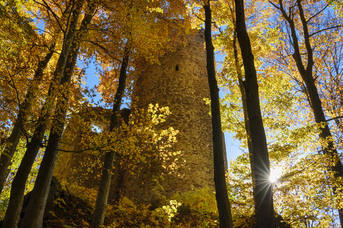 Deutschland, Bayern, Bayerischer Wald, Burg Lichteneck, Burgruine im Herbst - SIEF07701