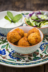 Falafel, Salat, Rot- und Weißkohl, Joghurtsauce mit Minze - LVF06656