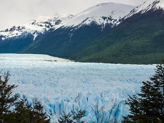 Argentinien, El Calafate, Patagonien, Gletscher Perito Moreno - AMF05632