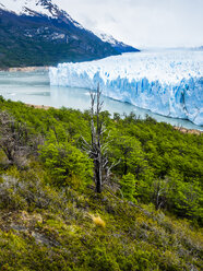 Argentinien, El Calafate, Patagonien, Gletscher Perito Moreno - AMF05637